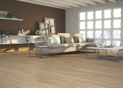 Porcelanite Dos 1317 Haya